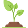 Agriculture